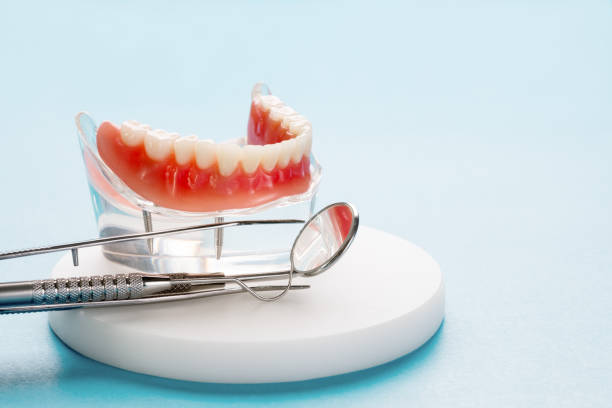 Professional Holistic Dental Care Services in Sauk Rapids, MN